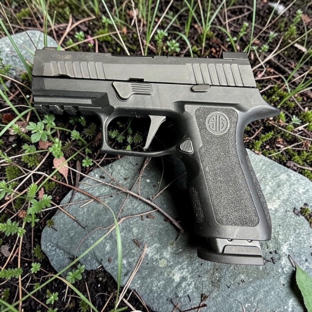 Sig Sauer P320-img-0
