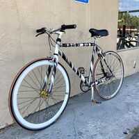 ARISTOTLE Single Speed Road Bike w/Schwinn Seat Upgrade