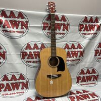 Washburn Lyon LG2PAK Acoustic 6-String Acoustic Guitar