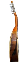 Medina Cardiel Mandolin