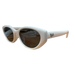 RayBan Sunglasses