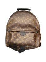 Louis Vuitton Backpack Palm Springs