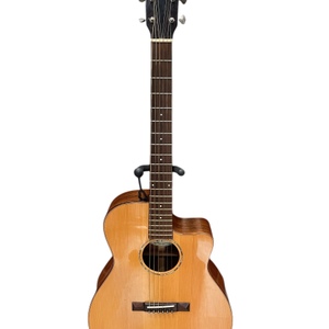 Trinty College TG-222 Guitar 
