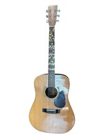 Hohner Acoustic