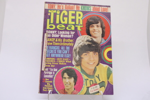 Tiger Beat Donny Looking for an older woman? 