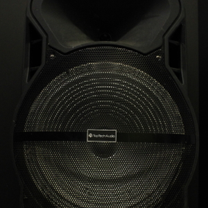 Top Tech Audio PA Speaker
