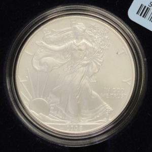 2004 American Silver Eagle .999 1 toz Silver