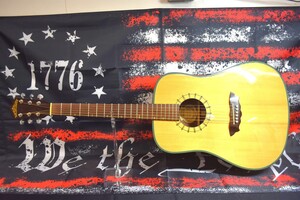 Washburn D46s