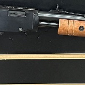ROSSI GALLERY 22MAGNUM PUMP RIFLE 