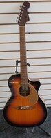 FENDER NEWPORT PLAYER ACOUSTIC GUITAR W/ SOFT GIG BAG (STAND NOT INCLUDED)