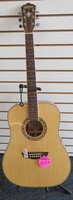 WASHBURN DREADNOUGHT WD10S W/ HARD CASE (STAND NOT INCLUDED)