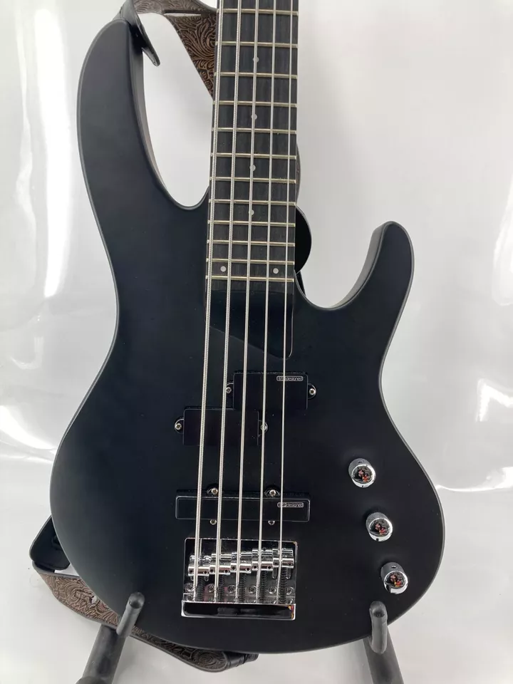 ESP LTD B-15 5 String Electric Bass Guitar