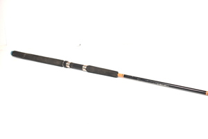 Unbranded Fishing rod