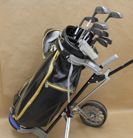 Men's Spalding Executive Limited Set - RH