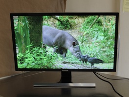 Samsung 28" Monitor w/ power cord 