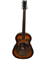 Austin Dobro Guitar with soft case and assorted strings