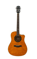 Fender acoustic electric guitar (2012) with hard case