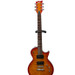 Esp LTD Electric guitar (Model: EC100QM)