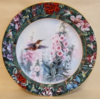 The Rufous Hummingbird Plate  6644 B
