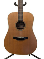 Takamine Acoustic/Electric Guitar