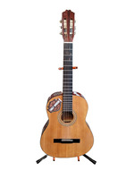 Torino Acoustic Guitar SGN-C81T-KIF