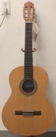 Altamira Basico Guitar 