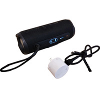 JBL Flip 6 Waterproof Bluetooth Speaker with Charger