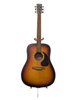 Simon and Patrick Acoustic Guitar