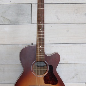 Seagull Ch Cw A/E