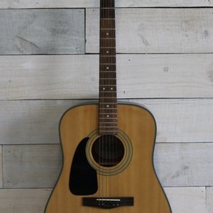Fender Dg-10lh Nat