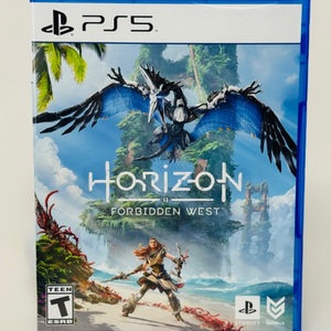 HORIZION PS5 Game