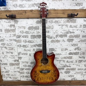 Washburn DFBACEA-U