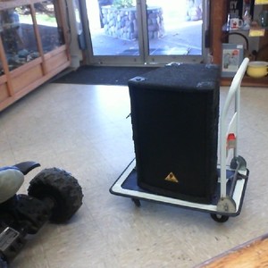 Behringer Eurolive B1220 Pro Professional 1,200-Watt 12 Inches PA Loudspeaker 