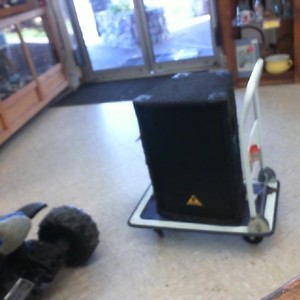 The Behringer Eurolive B1220 Pro is a professional-grade PA loudspeaker 