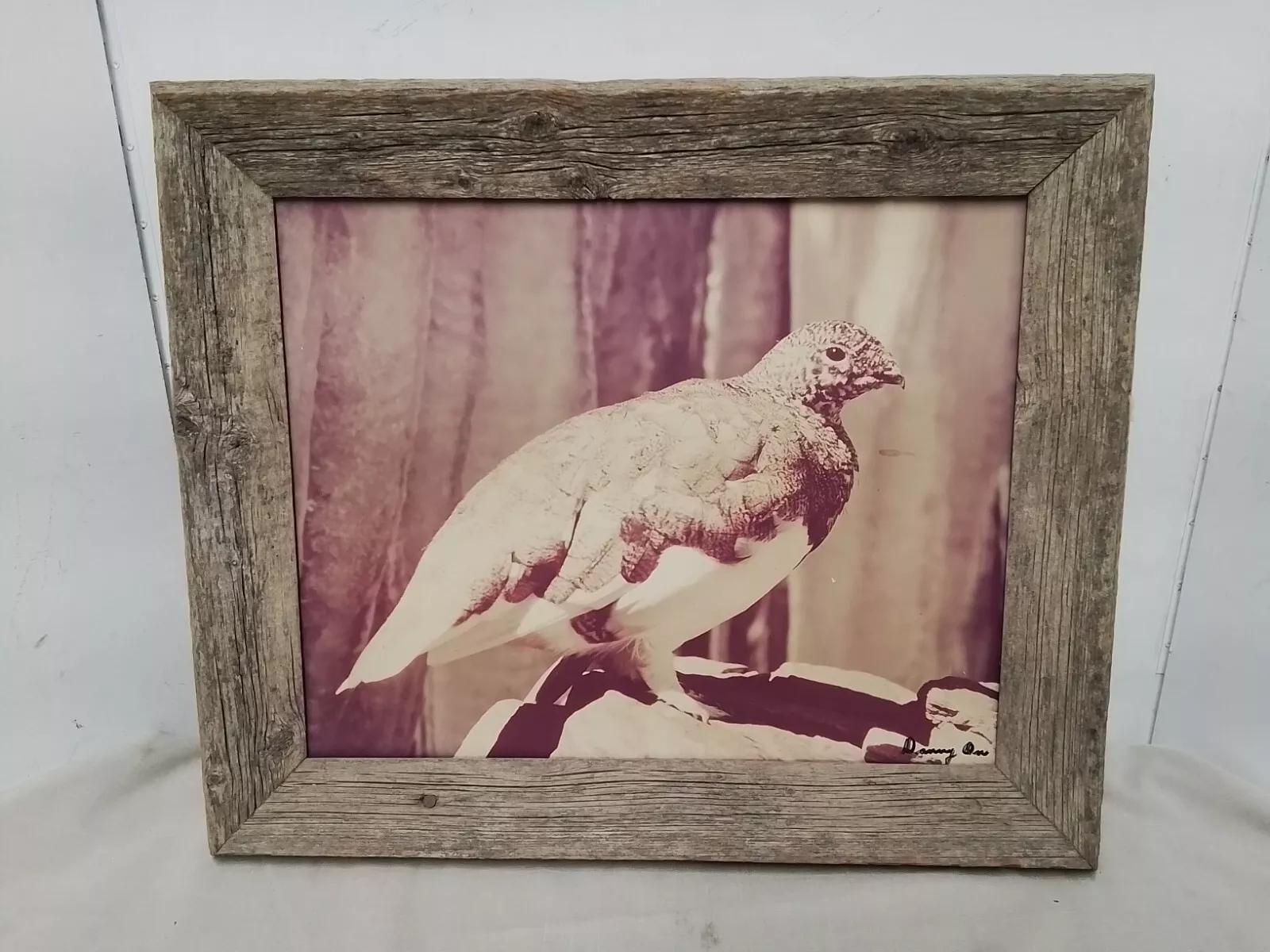 Danny On Framed Wildlife Photo - Signed - Local Glacier Park Artist - Died In 1979 