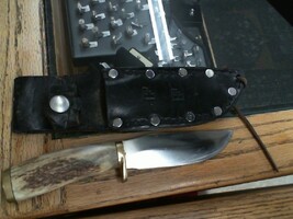 Custom Hunting Knife With Stag Handle In Leather Holster