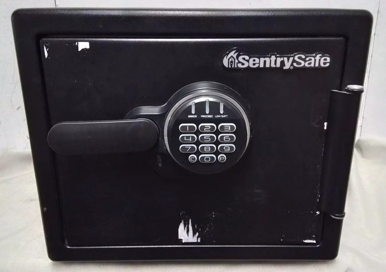 SentrySafe Fireproof & Waterproof Safe with Digital Lock, 14x12x10