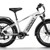 Himiway D5 Zebra Step-Through Electric Bike, Fat Tire, w/ Charger