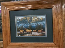 Framed Matted Elk Prints