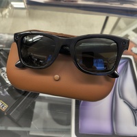 RAYBAN META GLASSES IN CASE