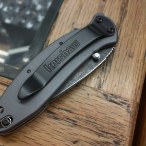 Gerber 1620GRYBW Scallion Folding Knife