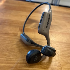 Walker / Gwp-Bcon / Raptor Hearing Enhancer