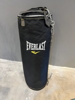 Everlast Punching Bag w/ Chains