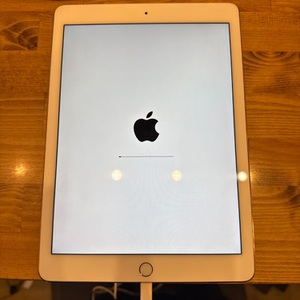 Apple / iPad / iPad Pro (1st Gen) / 128gb