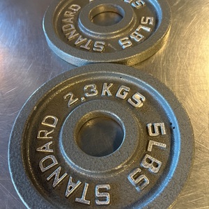 PAIR OF 2.5LBS WEIGHTS