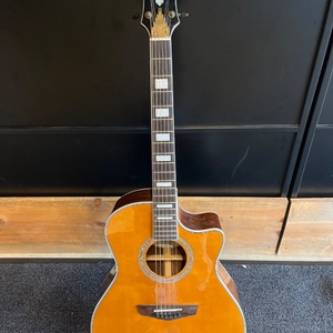 D'Angelico / Gramercy / Acoustic Guitar