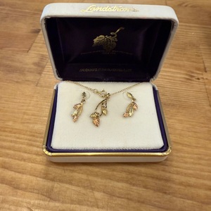 10K 2.70g BHG NECKLACE AND EARRING SET