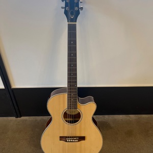 Epiphone PR-4ENA