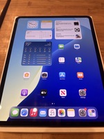 256GB 13" M4 APPLE IPAD