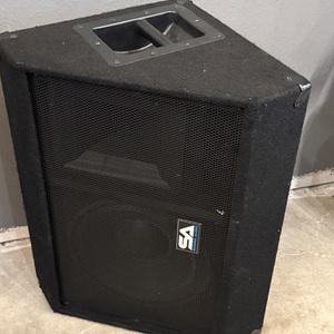 Seismic Audio SA-12MX Loudspeaker